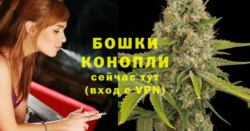 Конопля SATIVA & INDICA  Каргат 